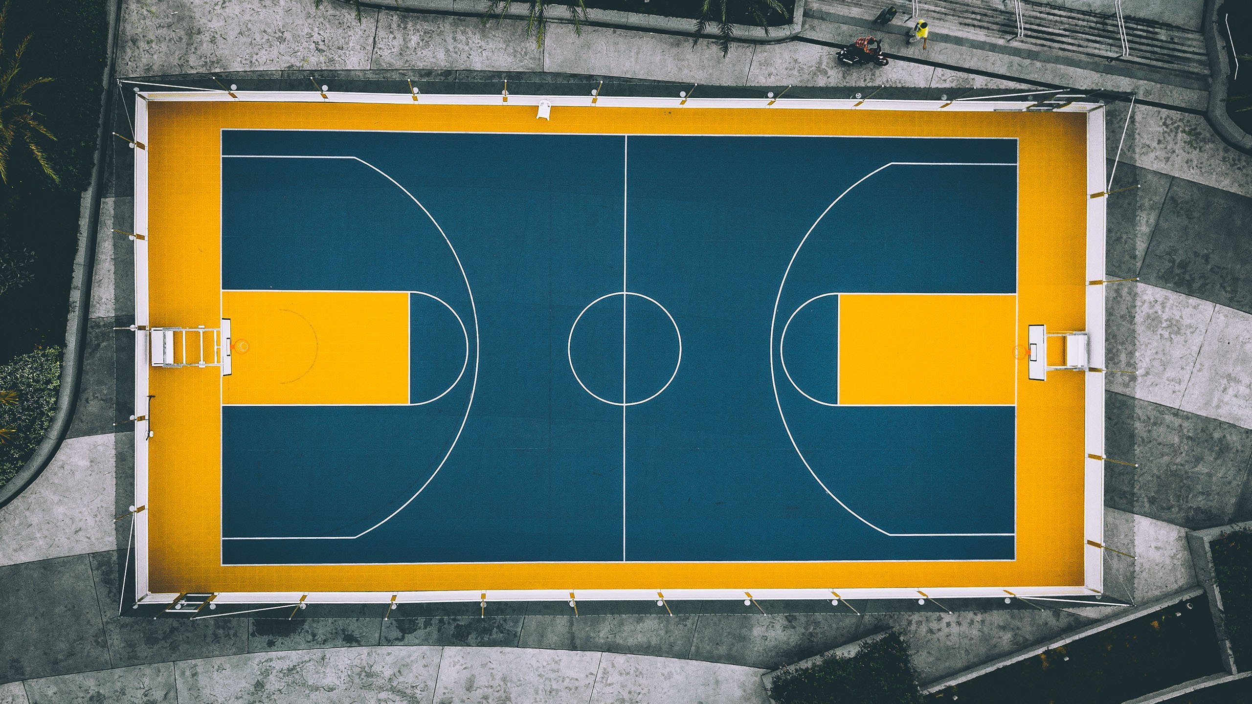社会责任：NBA运动员的公益行动持续升温，nba的企业社会责任